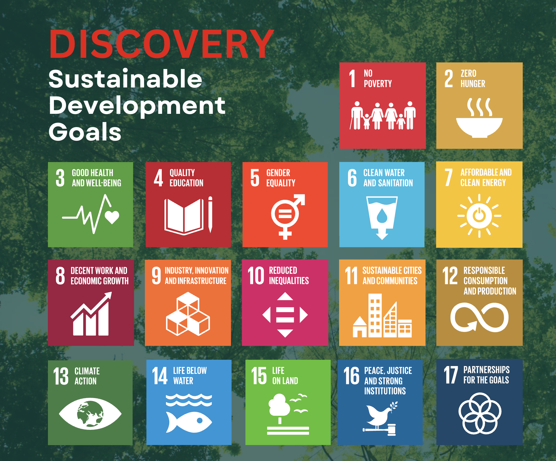 Sustainable community and environmental initiatives